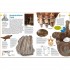 DK Verlag memo Wissen entdecken: Evolution