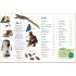 DK Verlag memo Wissen entdecken: Tiere