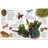 DK Verlag memo Wissen entdecken: Tiere
