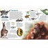 DK Verlag memo Wissen entdecken: Tiere