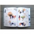 Planet Earth: Infographics for Discovering Our World