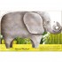 White Star The Big Book of Giant Animals. The Small Book of Tiny Animals