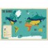 The Atlas of Animals