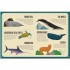 The Atlas of Animals