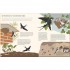 White Star What's Inside? Discover the Secret World of Animals