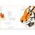 Full-Size 100% Animals