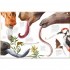 Full-Size 100% Animals