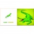 White Star My First Book of English Words: Small and Big Animals