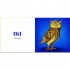 White Star My First Book of English Words: Animal Sounds