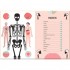 White Star The Human Body