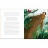 The Jungle Book