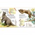 White Star Weird and Wonderful Extinct Animals