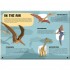 Travel, Learn and Explore: The World of Dinosaurs Book and Puzzle