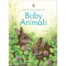 Usborne Baby Animals