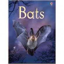 Usborne Bats