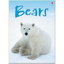 Usborne Bears