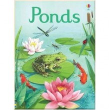 Usborne Beginners Ponds