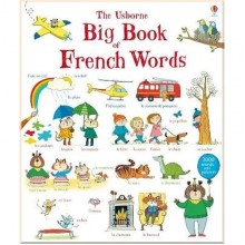 Usborne Big Book of French Words