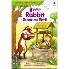 Usborne Brer Rabbit Down the Well