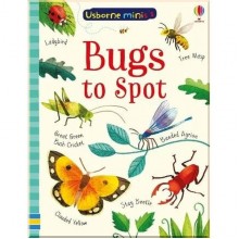 Usborne Bugs to Spot