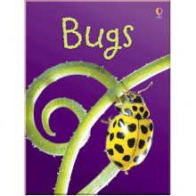 Usborne Bugs