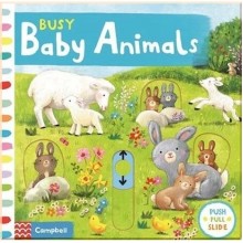 Busy Baby Animals