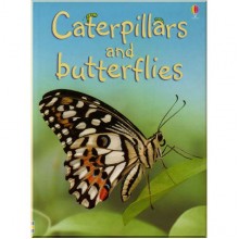Usborne Caterpillars and Butterflies