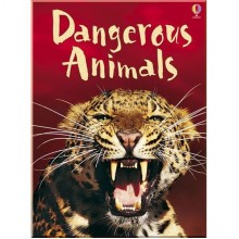 Usborne Dangerous Animals
