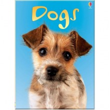 Usborne Dogs