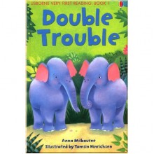 Usborne Double Trouble (Book 1)