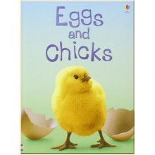 Usborne Eggs and Chicks