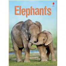 Usborne Elephants