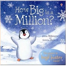 Usborne How Big is a Million?