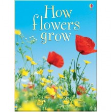 Usborne How Flowers Grow