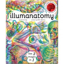 Illumanatomy