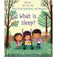 Usborne Lift-the-Flap Very First Questions and Answers: What is Sleep?