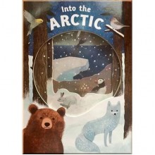 Look Closer: Into the Arctic