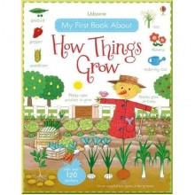Usborne My First Book about How Things Grow