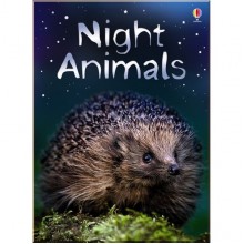 Usborne Night Animals