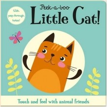 Imagine That Peek-a-boo Little Cat!
