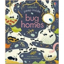 Usborne Peep inside Bug Homes