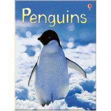 Usborne Penguins