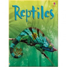Usborne Reptiles