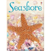 Usborne Seashore