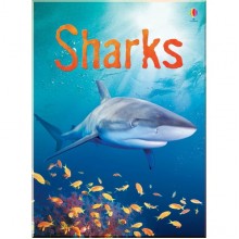 Usborne Sharks