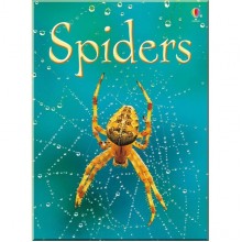 Usborne Spiders