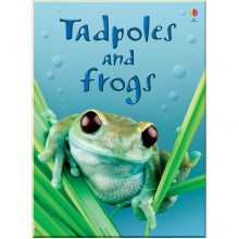 Usborne Tadpoles and Frogs