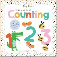 Imagine That Tiny Town: Hide-and-Seek Counting