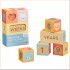 Petit Collage Wooden Milestone Baby Blocks