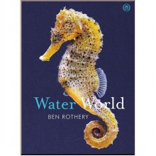 Ladybird Water World